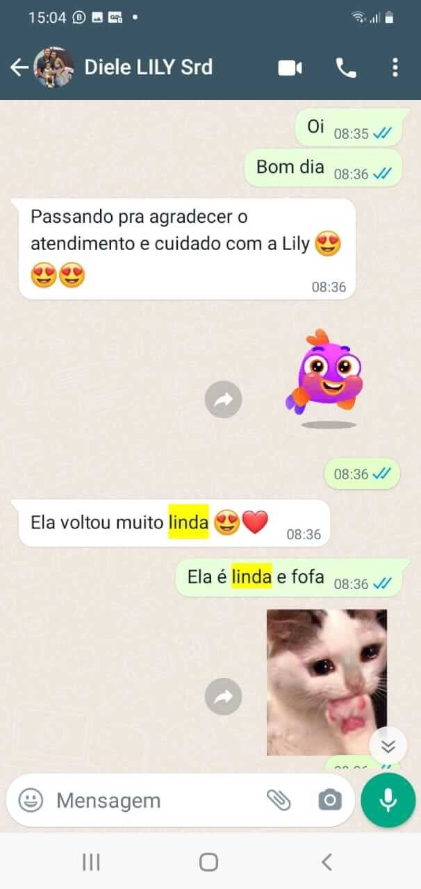 WhatsApp Image 2023-04-27 at 17.42.20